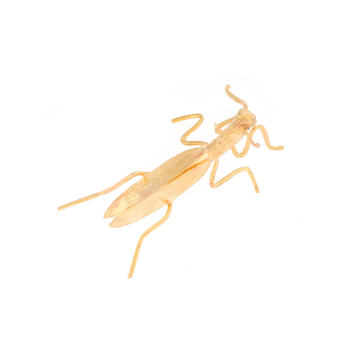 Broche ancienne insecte or jaune 13.89g