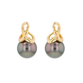 Boucles d'oreilles or jaune Perle de Tahiti