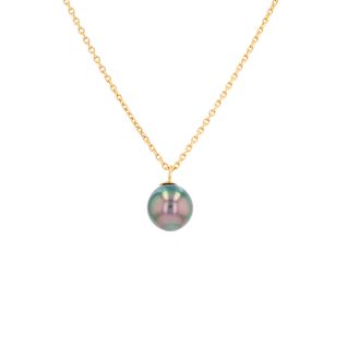 Collier maille forçat or jaune Perle de Tahiti