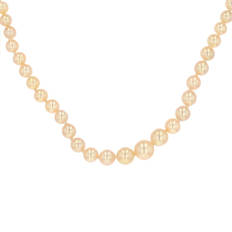 collier or gris Perle